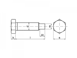 Tornillo DIN 561