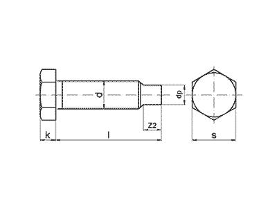 Tornillo DIN 561